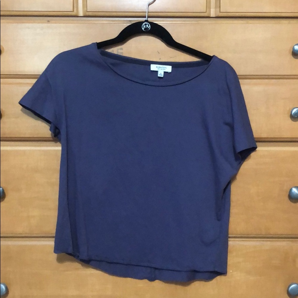 Babaton Purple Shirt from Aritzia